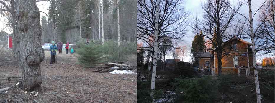 preparing the envirnment by the community